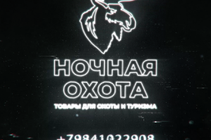 Анимация логотипа reels