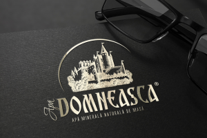 Разработка торговой марки "DOMNEASCA" для столовой и минеральной воды. Клиент - компания BAGHEO TRADE.
