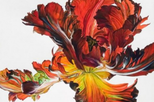 Статья на английском языке о художнике Р. Макьюене