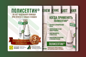 Инфографика для препарата «ПОЛИСЕПТИН®» — легендарного ветеринарного средства от компании «ТопВет»