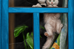 Котята в окне