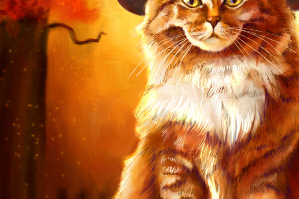 The Halloween cat