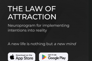 Перевод и локализация веб-приложения, ИИ-ассистента, на английский язык