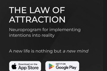 Перевод и локализация веб-приложения, ИИ-ассистента, на английский язык