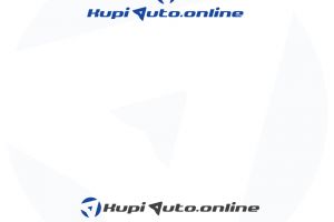 Kupi auto online v2,12