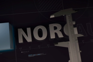 NORGAU анимация логотипа