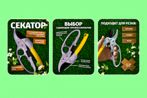 ИНФОГРАФИКА | WB OZON