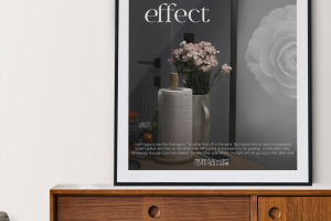 Арт-постер  - демо концепт-дизайна