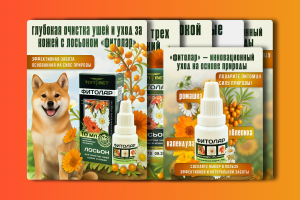 Инфографика для ветеринарного лосьона «Фитолар» — визуальный бренд-пакет из 5 слайдов для компании «ТопВет»