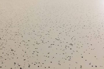 Полимерные полы, антистатика, ремонт бетонных полов, шлифовка