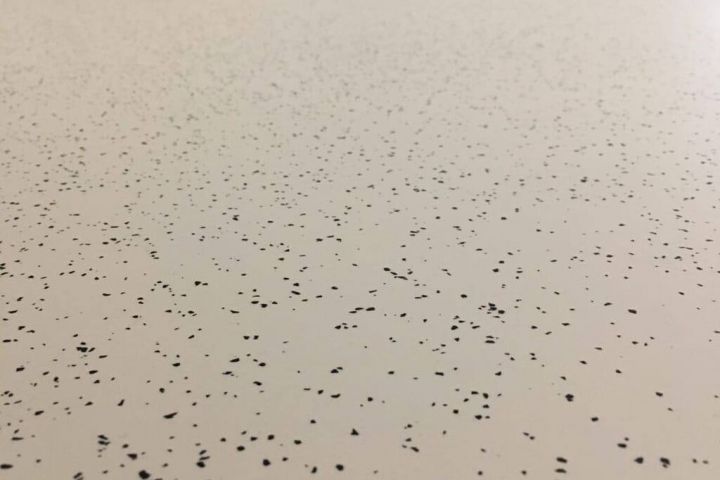 Полимерные полы, антистатика, ремонт бетонных полов, шлифовка - 5600112