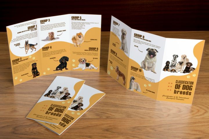 Создание буклета - 5601110