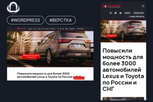TL CHIP — Разработка кастомной темы на WordPress с Sage