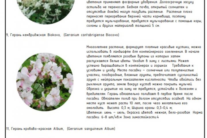 Разработка дизайн-проекта частного участка. Стадия: Рабочий проект - 5601897