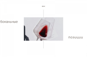 Презентация по винному обучению для сомелье (ресторанная сфера)