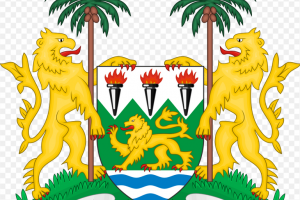 Перевод законов Республики Сьерра-Леоне на русский язык