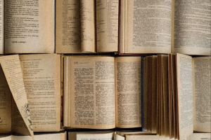 Написание книги и её дальнейшая редактура.