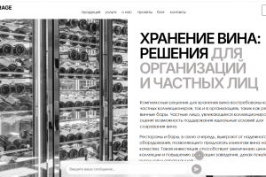 Разработка нейросайта для продажи винных шкафов. Премиальный сегмент.