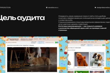 Аудит сайта / приложения + рекомендации