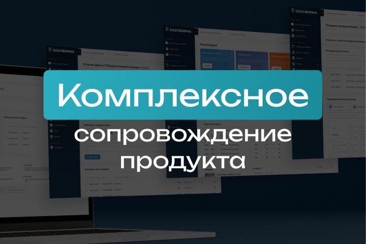 Комплексное сопровождение продукта (долгосрочно) - 5604009