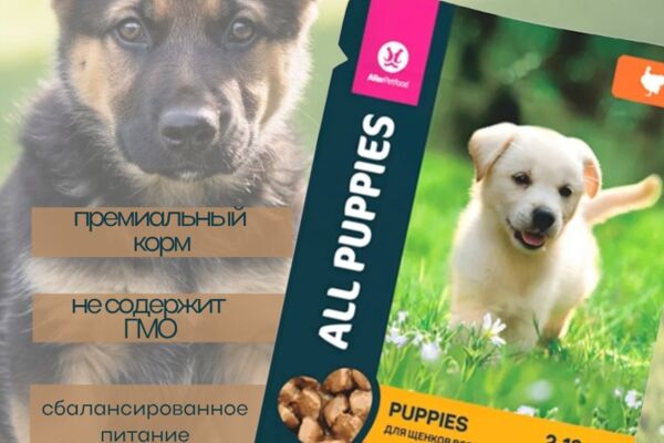 инфографика для карточки товара: корм для щенков