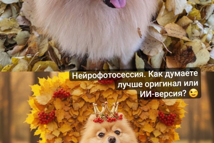 Нейрофотосессия для Вашего питомца - 5604814