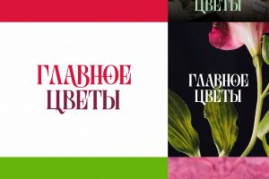 ГЛАВНОЕ ЦВЕТЫ 3