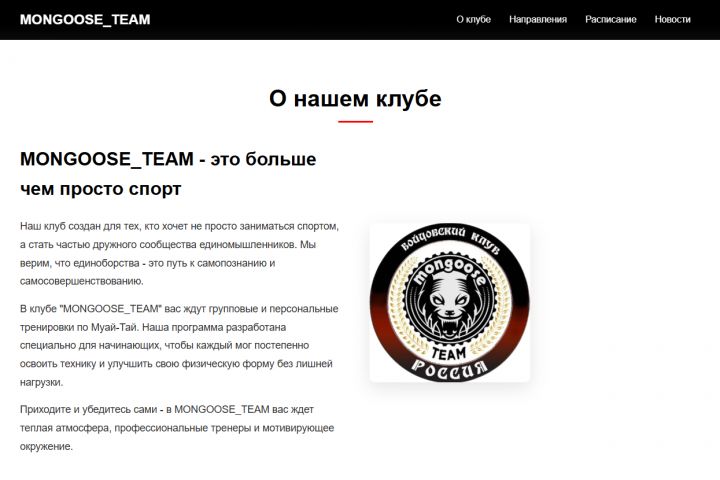 Фронтенд-разработчик | Создаю быстрые, адаптивные и интерактивные веб-интерфейсы - 5605004