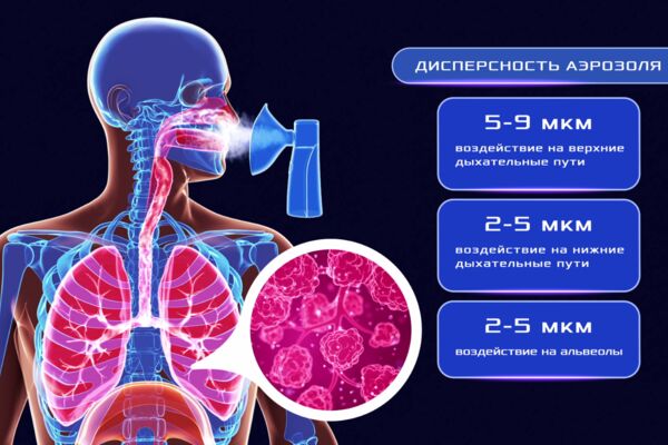 human body respiratory system animation 1920x1080 preview.png