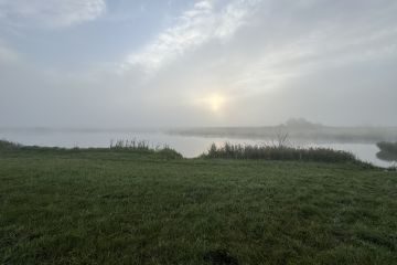 Попробую сделать что угодно за спасибо