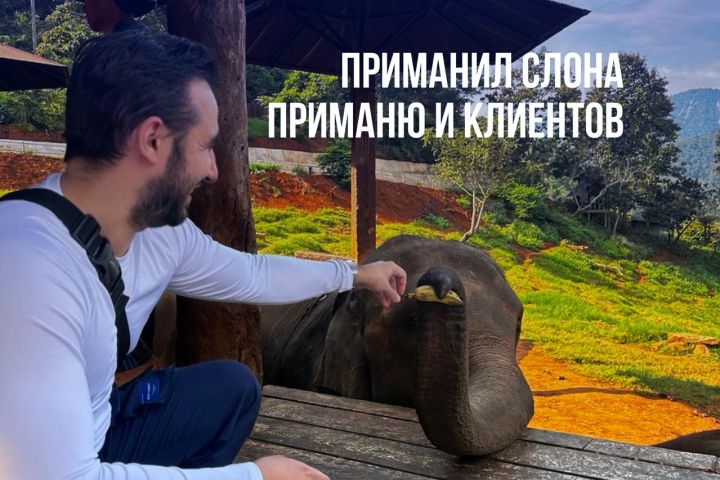 Реклама в Яндекс Директ