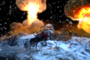Nuclear Fly