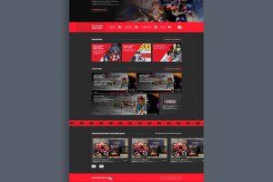 Дизайн сайта приставки