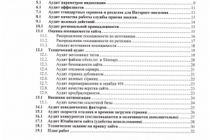 Аудит Интернет-магазина