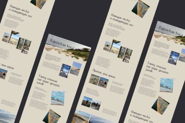 Dribbble shot HD - 10.png