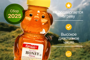 Создание конкурентоспособной карточки товара для мёда Krasdale на Wildberries, направленной на увеличение продаж: привлекательный дизайн и убедительное описание.