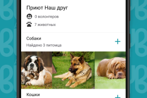 BUDDY — сервис для приютов животных
