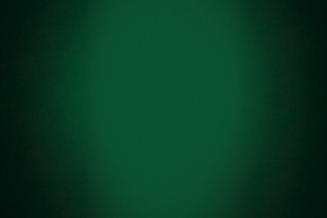 Анимированный логотип для медицинского центра