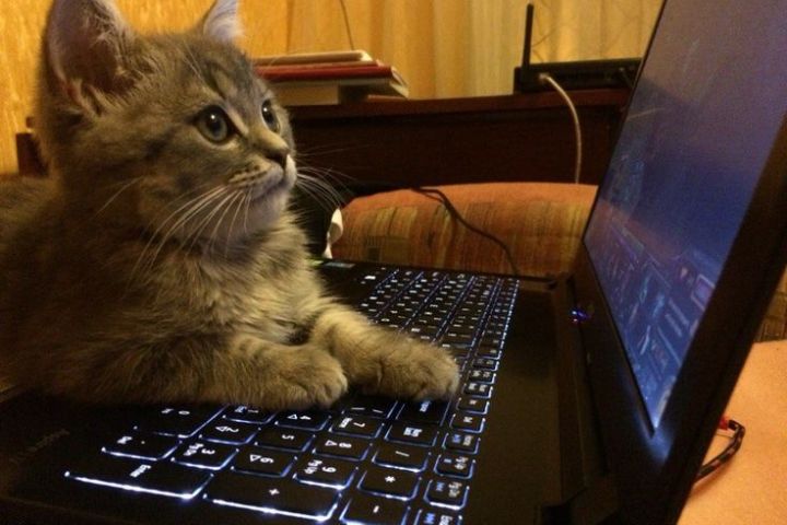 Услуги Разработки на C# и SQL - 5610368