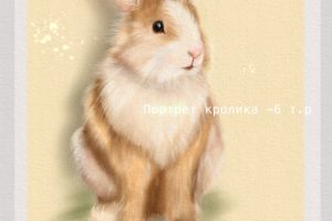 Портрет кролика