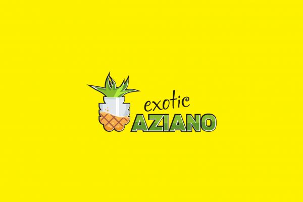 Логотип и упаковка  для производителя соков