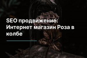 SEO продвижение: Интернет магазин Роза в колбе