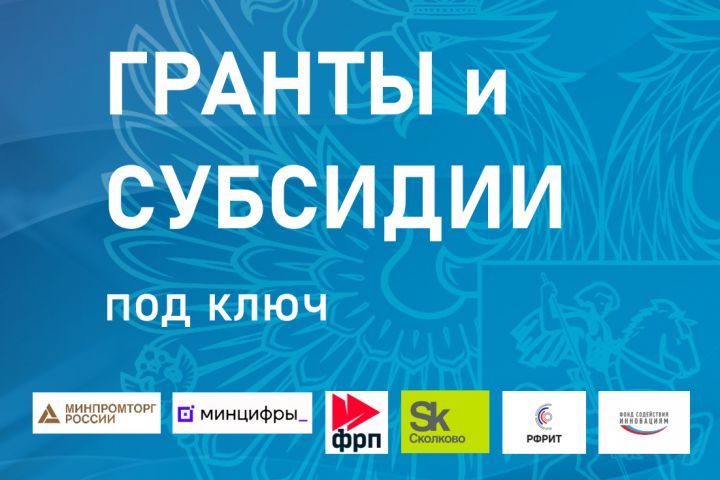 Получение грантов, субсидий, кредитов