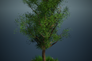 Анимация роста дерева (Процедурная анимация)