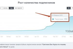 1541 подписчик по 15₽ в Телеграм канал для авторского блога по шитью