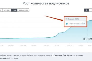 1541 подписчик по 15₽ в Телеграм канал для авторского блога по шитью