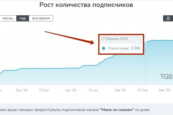 1745 подписчиков по 15₽ в Телеграм канал блогера по теме материнства
