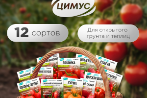 Дизайн карточки товара+анимация