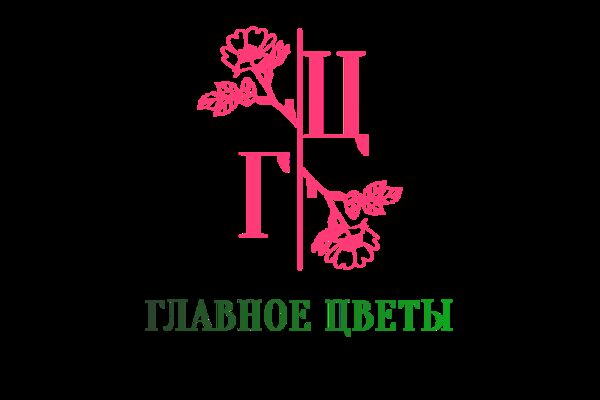 загруженное (1).png