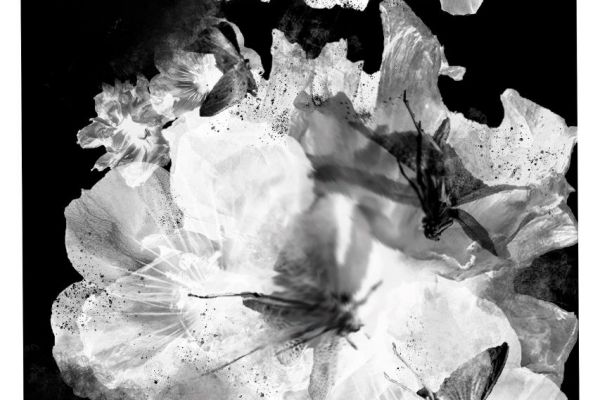 А.Людской "В последний раз"